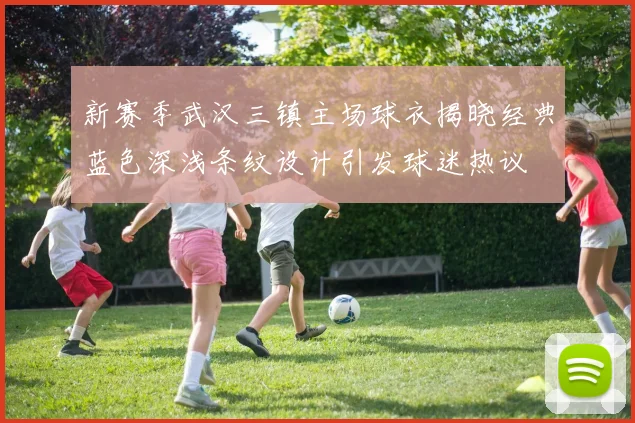 新赛季武汉三镇主场球衣揭晓经典蓝色深浅条纹设计引发球迷热议